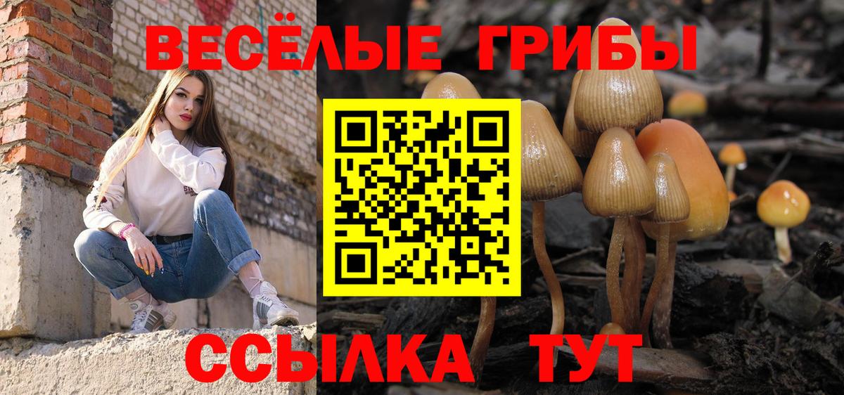 Псилоцибиновые грибы Psilocybine cubensis Сухой Лог