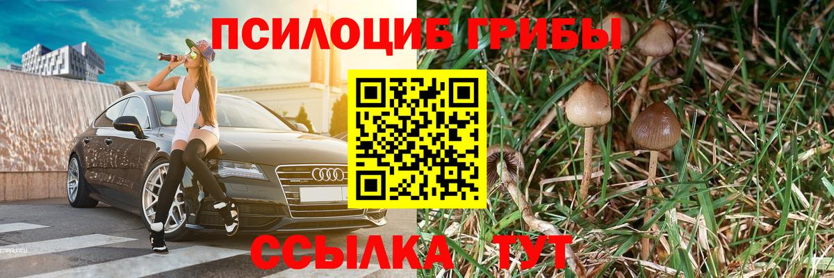 Галлюциногенные грибы Psilocybine cubensis  Вход с VPN  Сухой Лог 